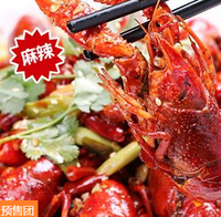 限华东：麻辣小龙虾 10只装 580g